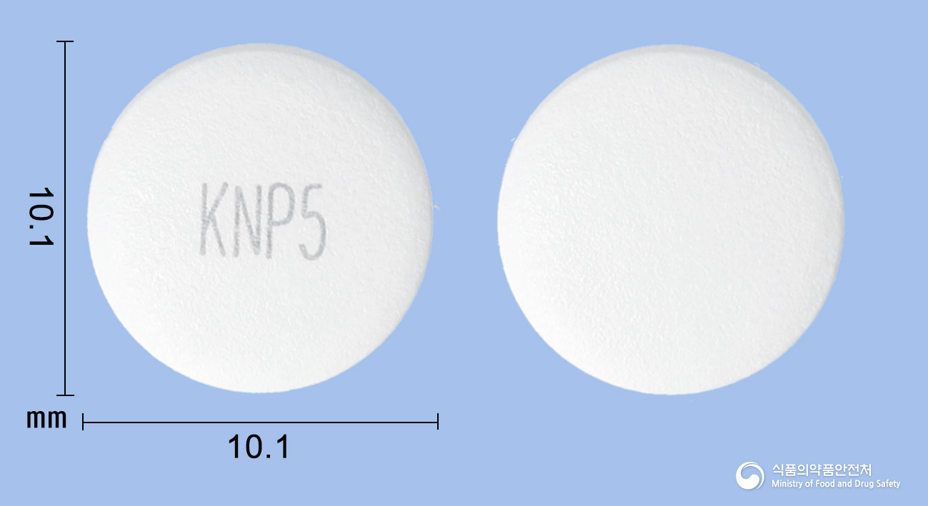 팜시트정250mg(팜시클로비르)